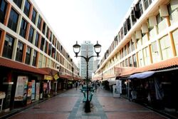 Hdb Hub (D12), Shop House #523122801